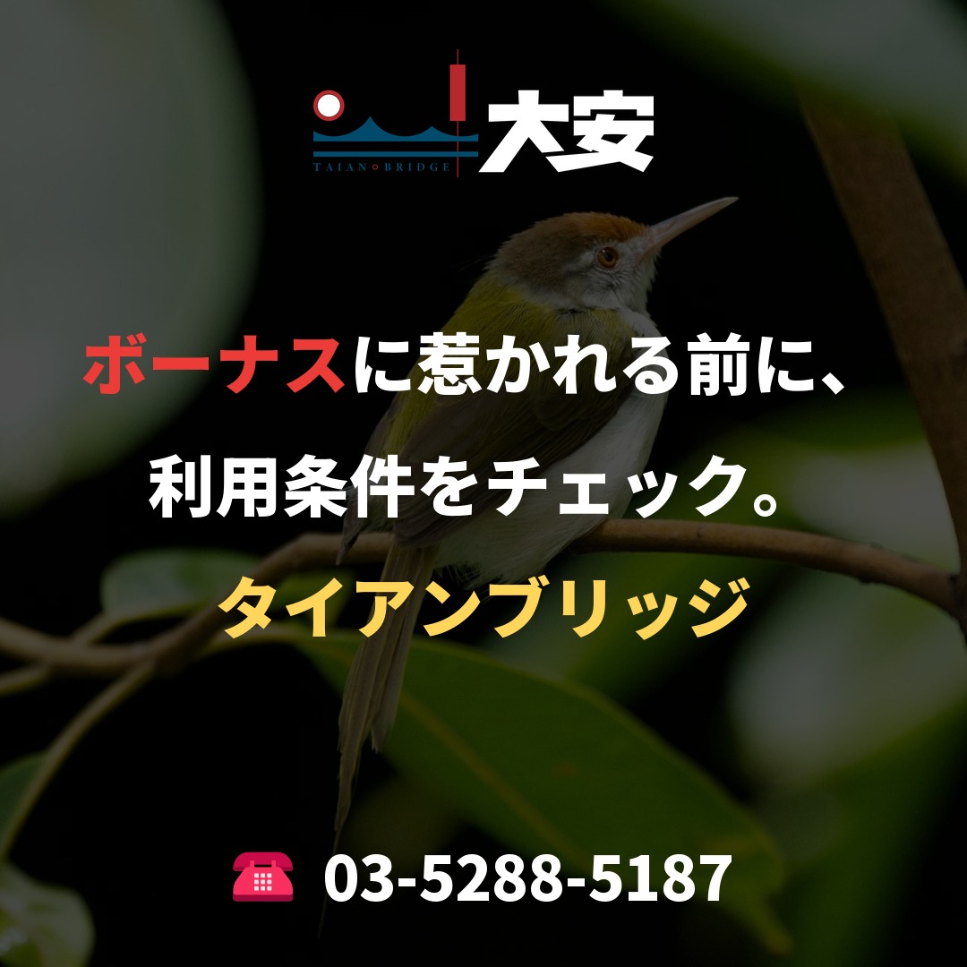ボーナスに惹かれる前に、利用条件をチェック。|タイアンブリッジ