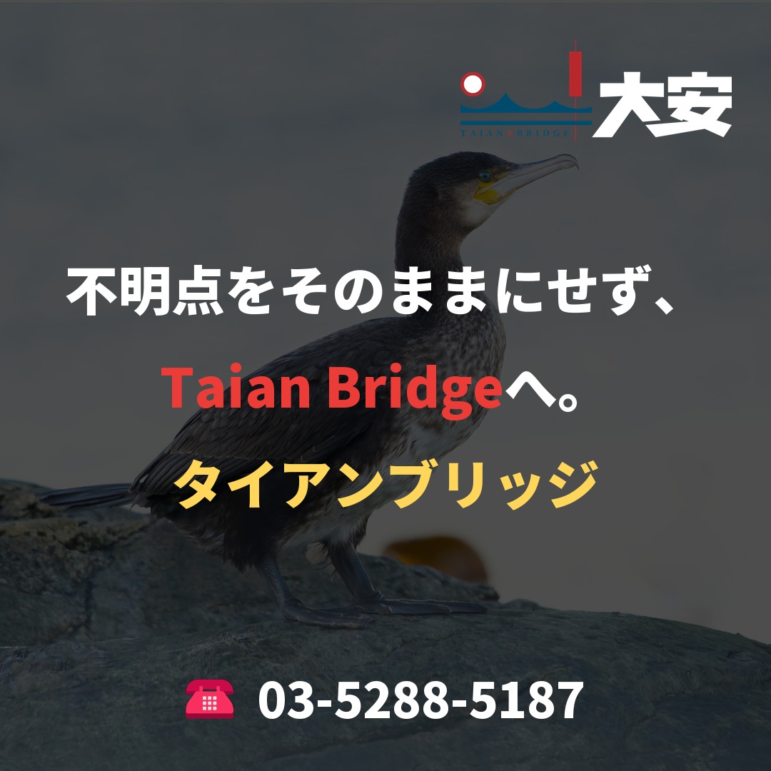 不明点をそのままにせず、Taian Bridgeへ。