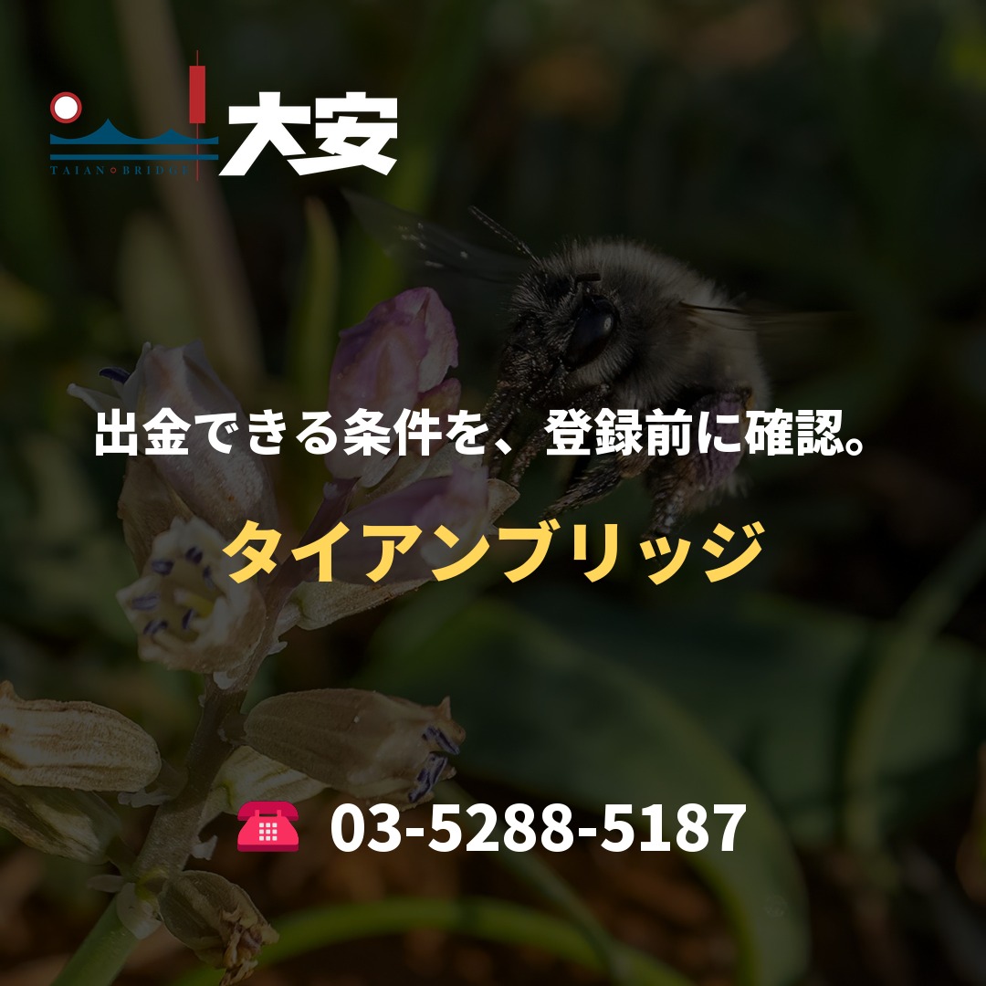 出金できる条件を、登録前に確認。｜タイアンブリッジ