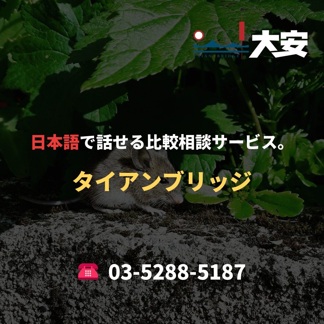 日本語で話せる比較相談サービス。｜タイアンブリッジ