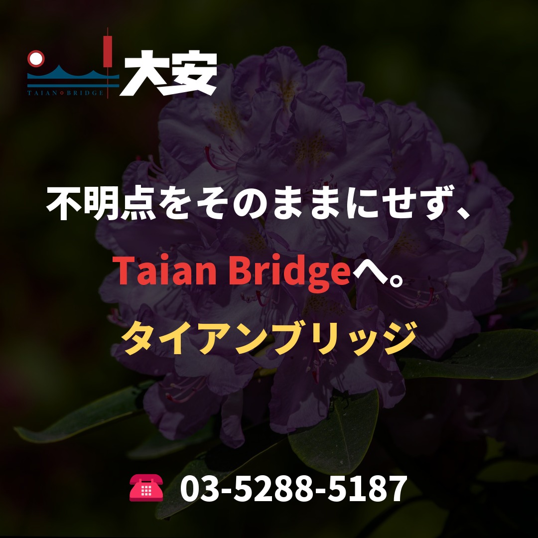 不明点をそのままにせず、Taian Bridgeへ。