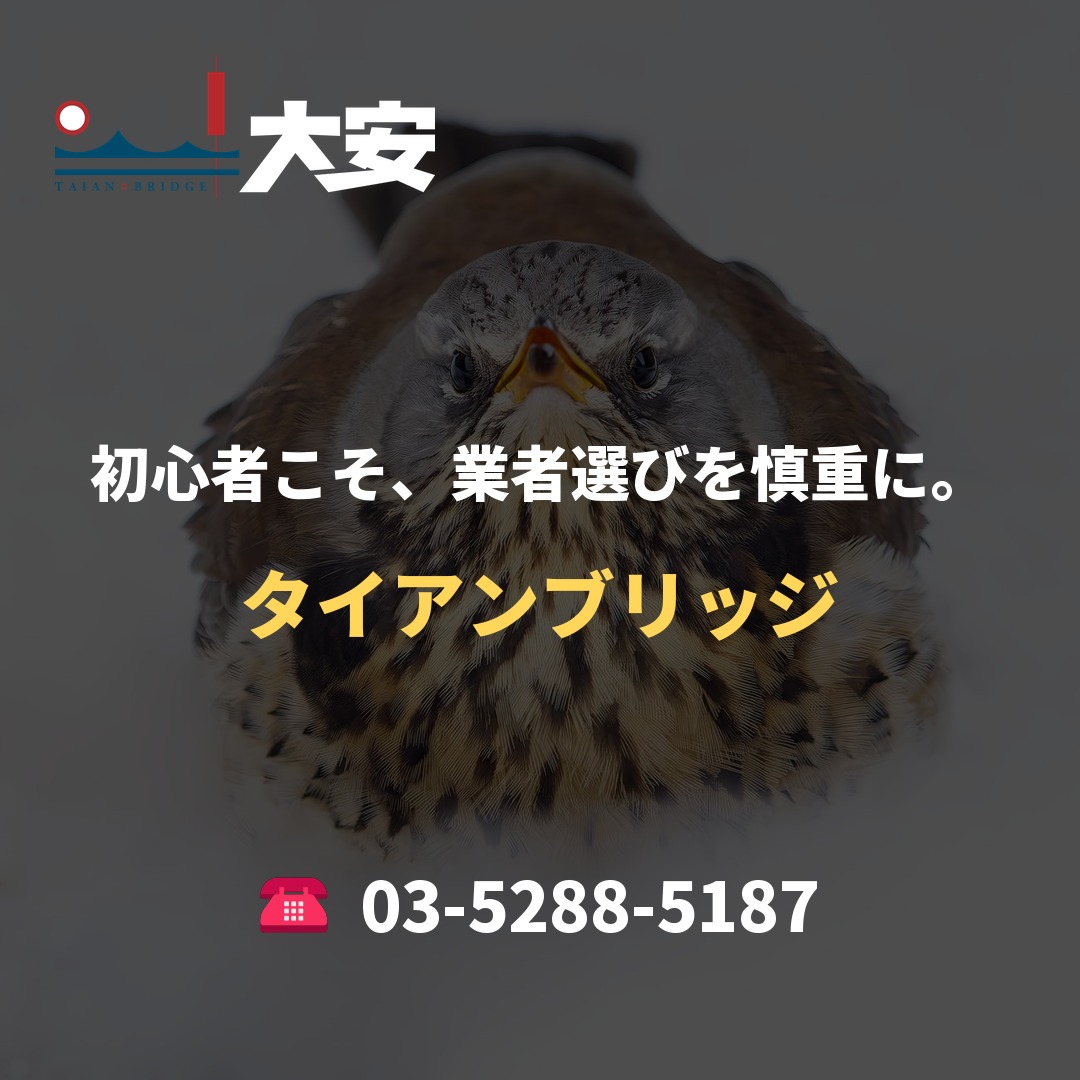 初心者こそ、業者選びを慎重に。|タイアンブリッジ