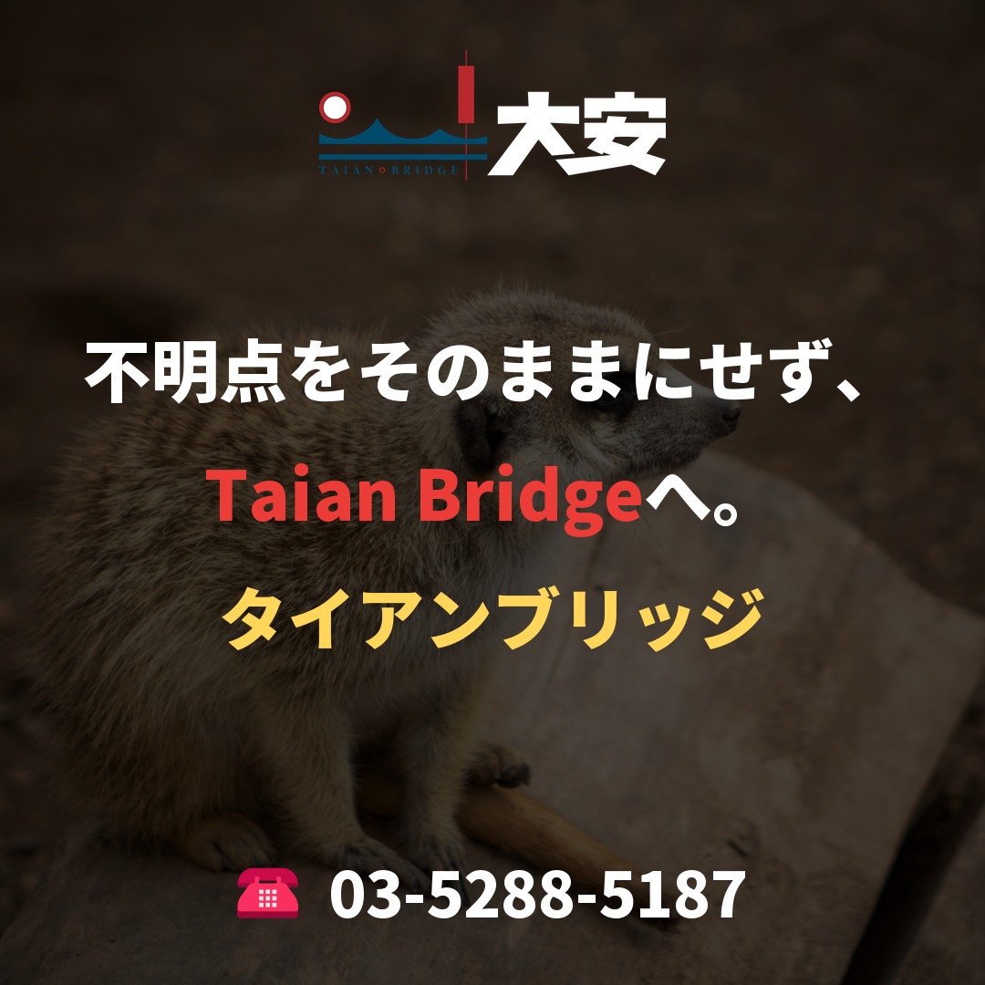 不明点をそのままにせず、Taian Bridgeへ。