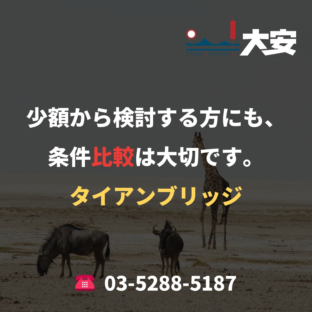 少額から検討する方にも、条件比較は大切です。|タイアンブリッジ