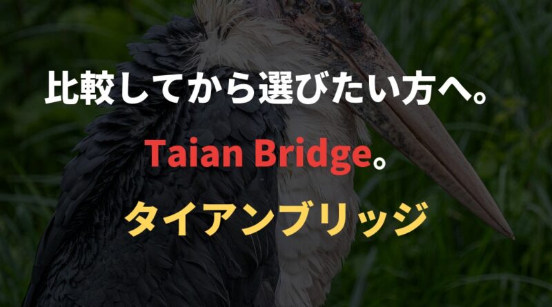 比較してから選びたい方へ。Taian Bridge。