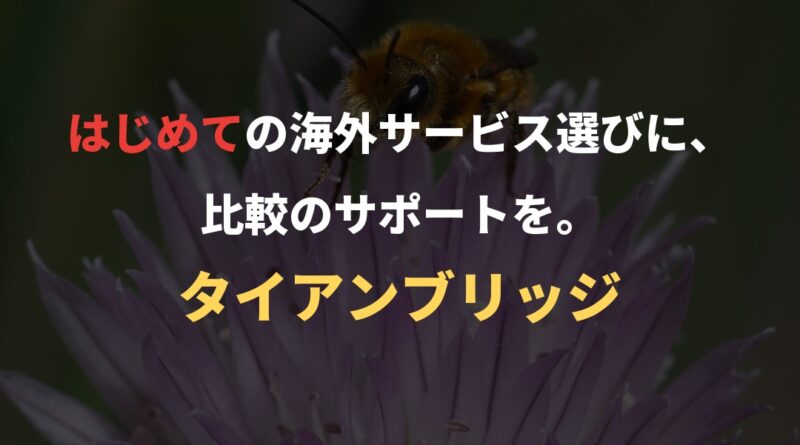 はじめての海外サービス選びに、比較のサポートを。｜タイアンブリッジ