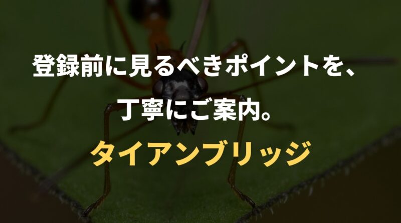 登録前に見るべきポイントを、丁寧にご案内。｜タイアンブリッジ