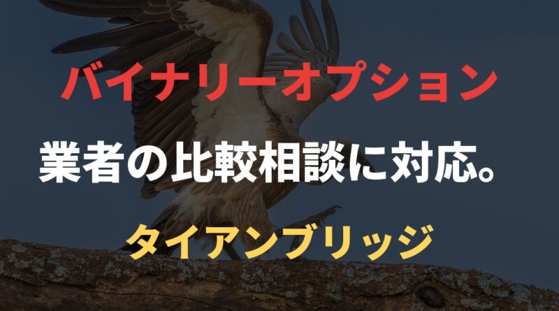 バイナリーオプション業者の比較相談に対応。｜タイアンブリッジ