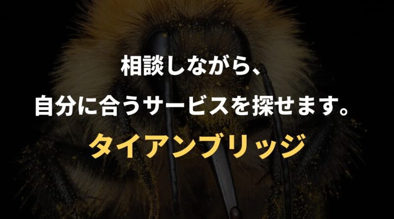 相談しながら、自分に合うサービスを探せます。｜タイアンブリッジ