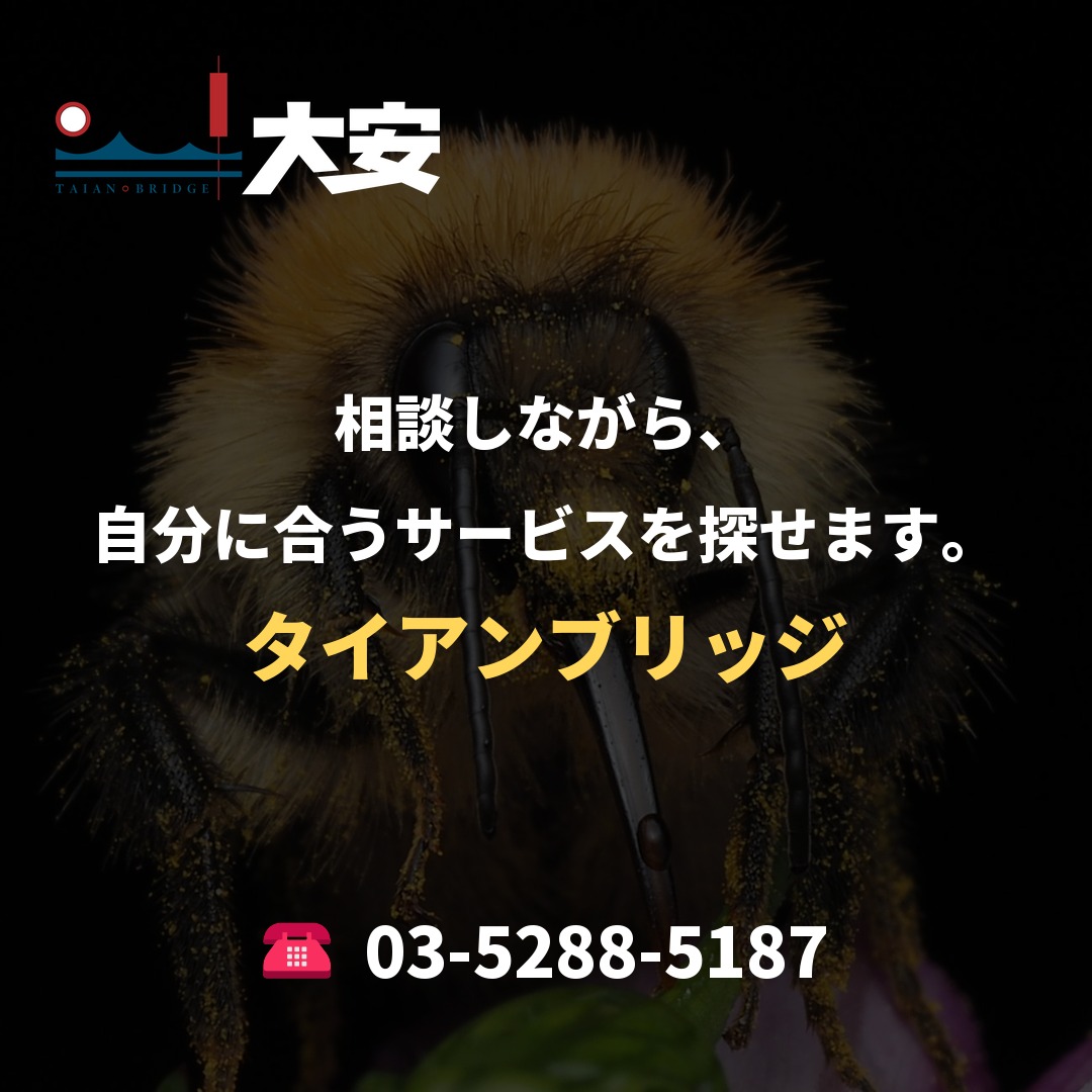 相談しながら、自分に合うサービスを探せます。|タイアンブリッジ