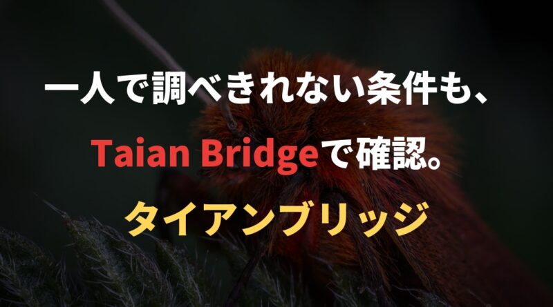 一人で調べきれない条件も、Taian Bridgeで確認。