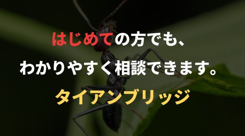 はじめての方でも、わかりやすく相談できます。｜タイアンブリッジ