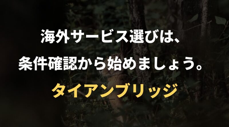 海外サービス選びは、条件確認から始めましょう。｜タイアンブリッジ